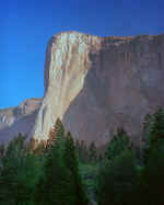 ElCapitan_YosemiteNP.jpg (80455 bytes)